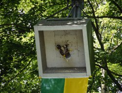 sf monntag 2025082